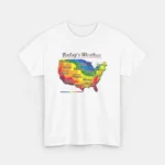 Today's Weather Shitty Weather Tee